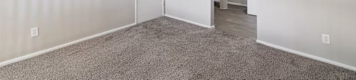 an empty living room with white walls and a carpeted floor